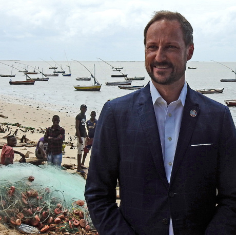 Official visit to Mozambique